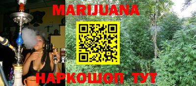 гидра Краснодар