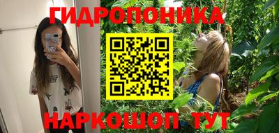 гидра Краснодар