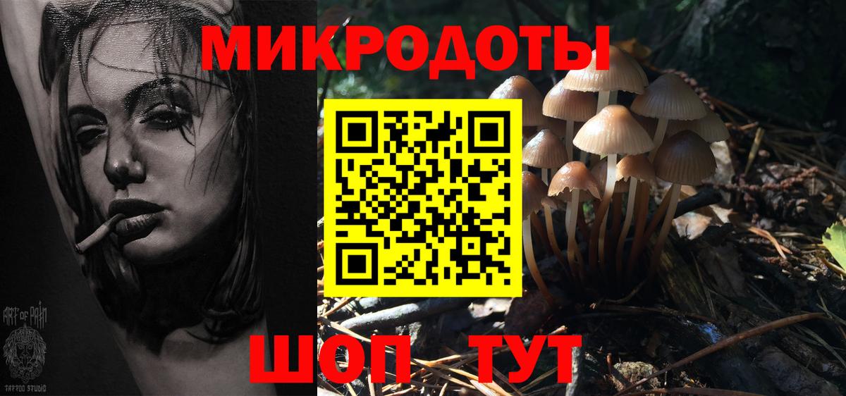 Кизляр  Псилоцибиновые грибы прущие грибы  Вход с VPN 